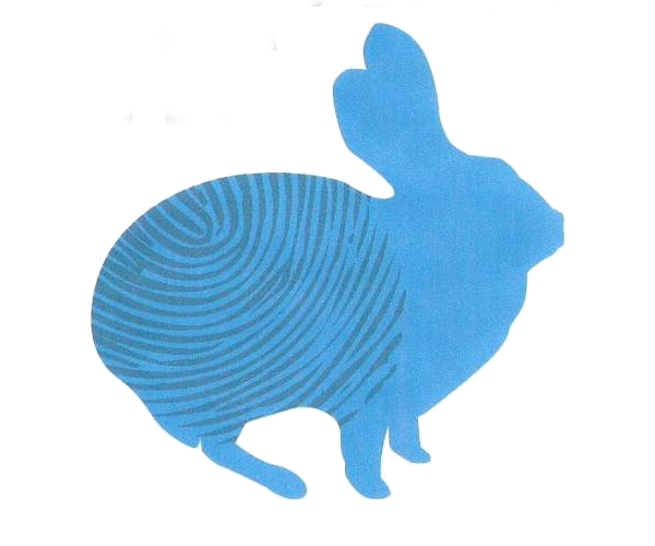 Asociació de criadors de conill eivissenc